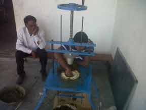 cow-dung-pot