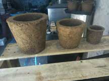 cow-dung-pot2