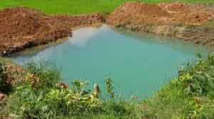 natural-pond2