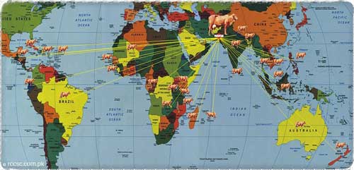 Sahiwal Cow On Worldmap
