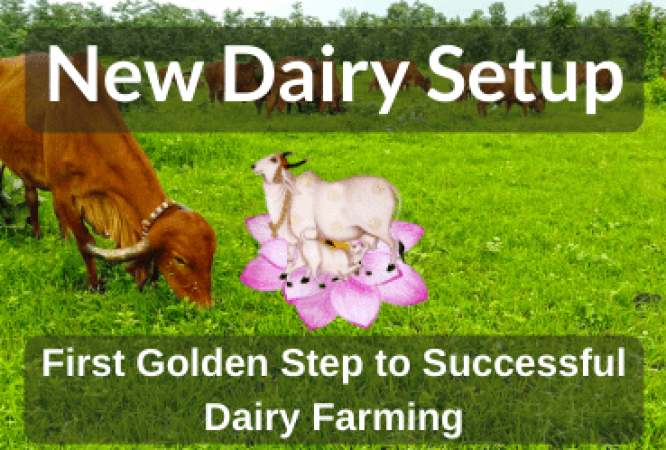 New-Dairy-Setup-Course