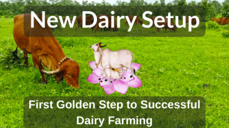 New-Dairy-Setup-Course New-Dairy-Setup-Course