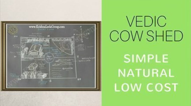 cow-shed-natural-low-cost cow-shed-natural-low-cost